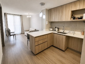 Departamento en arriendo mensual en Las violetas con lyon, Providencia - 1 dormitorio, 1 baño