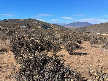 Terreno en venta en Oportunidad de Inversión en Zona Estratégica (159819), La Ligua