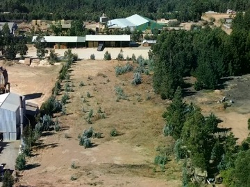 Terreno en venta en San ramón, Constitución