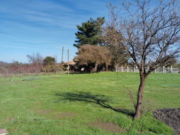 Venta / Terreno / Pumanque