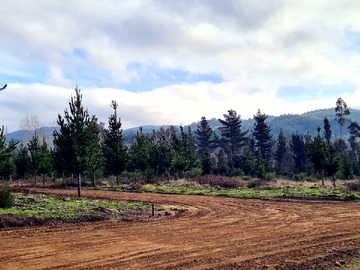 Terreno en venta en Ruta o-862, Santa Juana