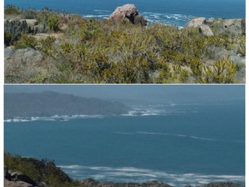 Parcela en venta en El panul, Coquimbo