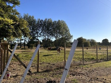 Venta / Parcela / Chillán