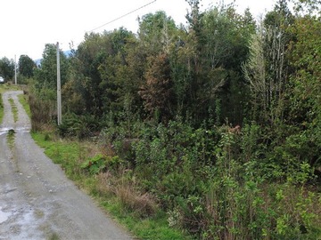 Venta / Parcela / Puerto Montt