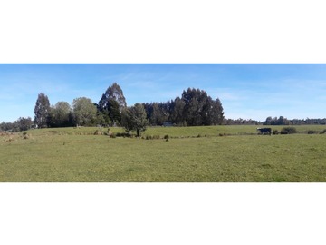 Venta / Terreno Agricola / Ancud