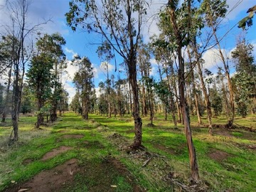 Parcela en venta en Cauquenes, Cauquenes