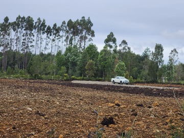 Terreno Agricola en venta en Caulin, Ancud