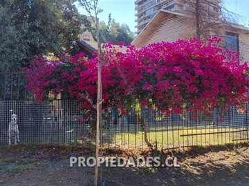 Casa en venta en Manuel Claro Vial / Florencioi Barrios, Las Condes - 4 dormitorios, 4 baños
