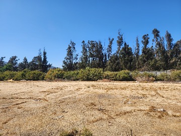 Terreno en arriendo mensual en Mundo nuevo sur, Casablanca