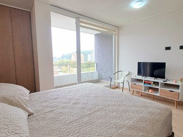 Departamento en arriendo mensual en Homestudio Amoblado, Concepción (174464), Concepción - 1 dormitorio, 1 baño