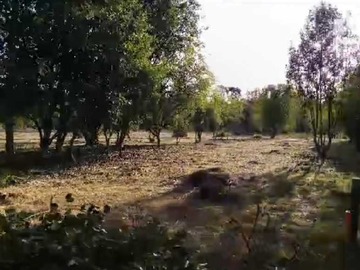 Venta / Terreno / Villarrica