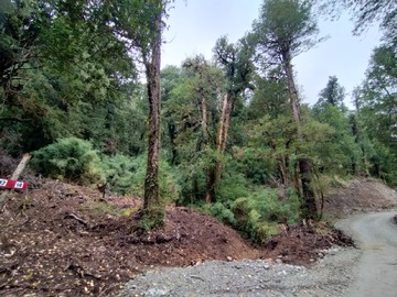 Terreno Agricola en venta en Villa amengual, Lago Verde