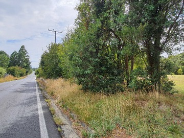 Venta / Terreno / Puerto Varas