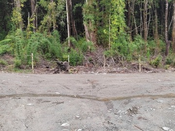 Parcela en venta en Puerto Montt, Puerto Montt