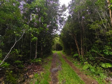 Terreno en venta en 1 Há. Entorno Natural con río, Lago Chapo. PM (169510), Puerto Montt