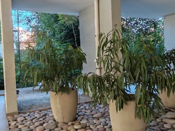 Departamento en arriendo mensual en Maravilloso dpto providencia (181013), Providencia - 2 dormitorios, 2 baños