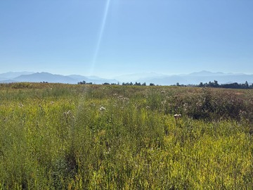 Terreno Agricola en venta en Cruce Tinguiririca, San Fernando