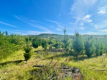 Parcela en venta en San Pedro de Alcantara, Paredones