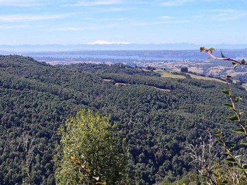 Terreno Agricola en venta en Alcaldeo de Rauco, Chonchi