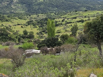 Venta / Parcela / Chépica