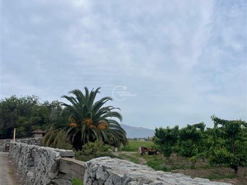 Venta / Terreno / Santa Cruz