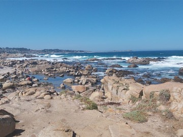 Sitio en venta en Playa el tabo, El Tabo