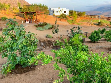 Parcela en venta en Higueritas Unidas, Ovalle - 3 dormitorios, 2 baños