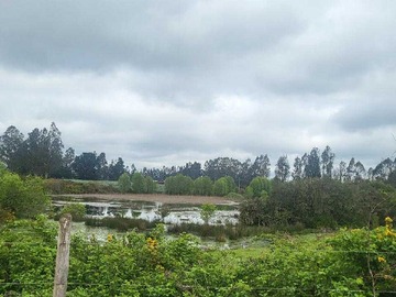 Terreno en venta en Vendo terreno en trañi trañi de 1.6 hectáreas (123696), Temuco