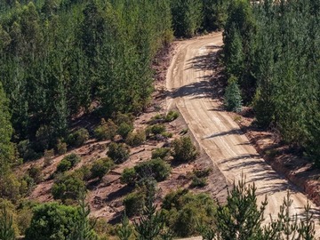 Venta / Parcela / Constitución