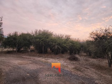 Parcela en venta en Se Vende Parcela Plana 5000m2, Lo Ovalle Casablanca