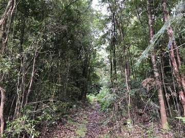 Parcela en venta en Sector Correntoso a 200 mts de carretera, Puerto Montt