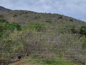 Terreno en venta en Terreno 3 hectáreas El Trapiche La Ligua (85586), La Ligua