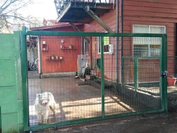 Casa en venta en Detrás de Fiscalía - costado Colegio José Abelardo Núñez, Villarrica - 4 dormitorios, 2 baños