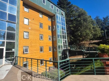 Arriendo Mensual / Departamento / Valdivia