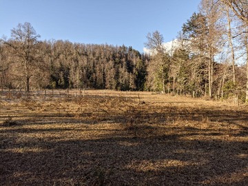 Terreno en venta en Parcela en Huitraco, Curarrehue, 2 Hectáreas