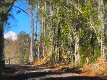 Parcela en venta en Parcela Camino El Sauce Km 10 Villarrica, Villarrica