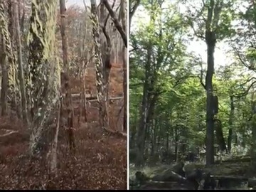 Sitio en venta en Oportunidad inversionistas. Campo 347 hect cercano a Villa Cerro Castillo, Río Ibáñez
