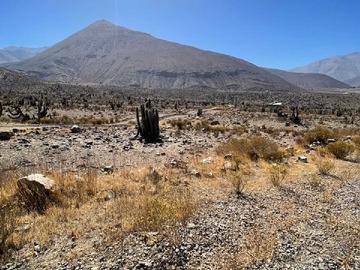 Terreno en venta en Amplio Terreno con Potencial Comercial (153439), Vicuña
