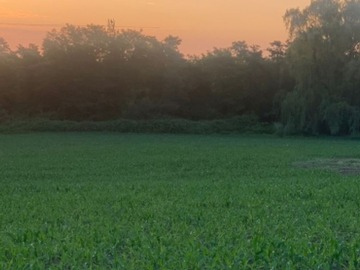 Terreno Agricola en venta en Rio Claro Cumpeo, Río Claro