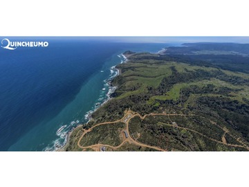Venta / Parcela / Pichilemu