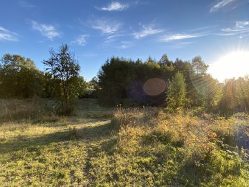Parcela en venta en Villarrica, Villarrica
