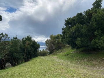 Terreno en venta en Futrono // Llifén (71011), Futrono
