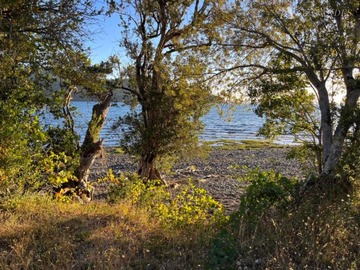 Sitio en venta en Puyehue, Río Bueno