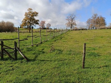 Terreno en venta en ¡Oportunidad terreno 5000 m2! . (104231), Río Bueno