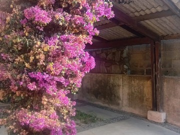 Venta / Casa / Quilpué