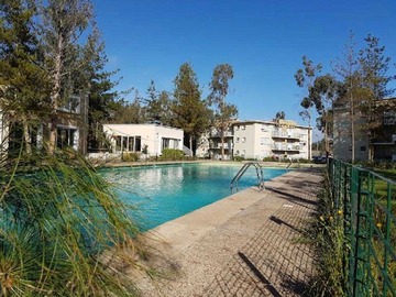 Venta / Departamento / Algarrobo