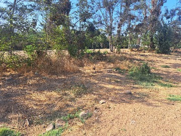 Venta / Terreno / Hijuelas