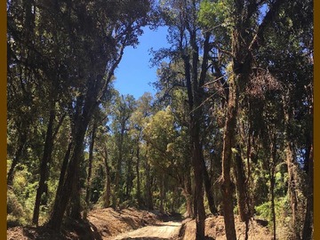 Terreno en venta en Loteo don jaime / región de los lagos (67191), Los Muermos