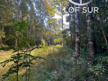 Terreno en venta en Pucón Parcela de Inversión en Entorno Natural (173195), Pucón