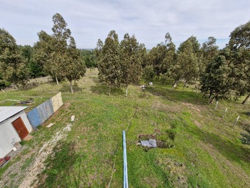Terreno en venta en Terreno con agua, luz y bosque nativo (132446), Quillón